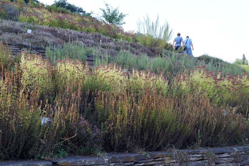 Ürziger Kräutergarten